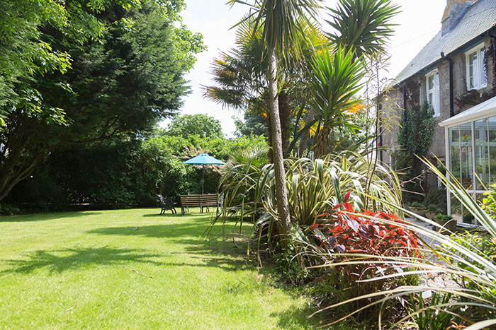 Lawns, palms and established planting in the wooded grounds of The Old Vicarage